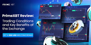Ultimate Guide to PrimeXBT Trading Platform Ultimate Guide to PrimeXBT Trading Platform