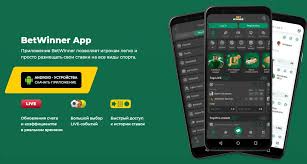 BetWinner Platform A Comprehensive Guide to Online Betting